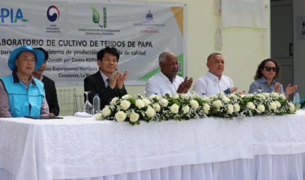 Laboratorio de papa en Constanza busca reducir importaciones y fortalecer producción nacional