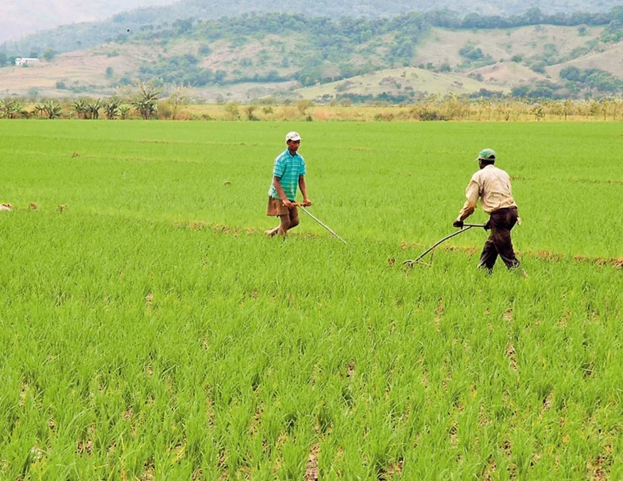 EE.UU. mantiene superávit comercial de $5,300 millones con República Dominicana pese a tensiones