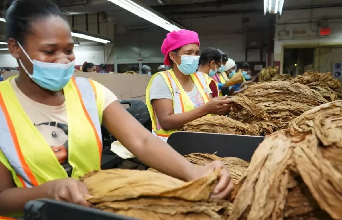 Plan Social impulsa capacitación y empleo para reducir la pobreza en República Dominicana