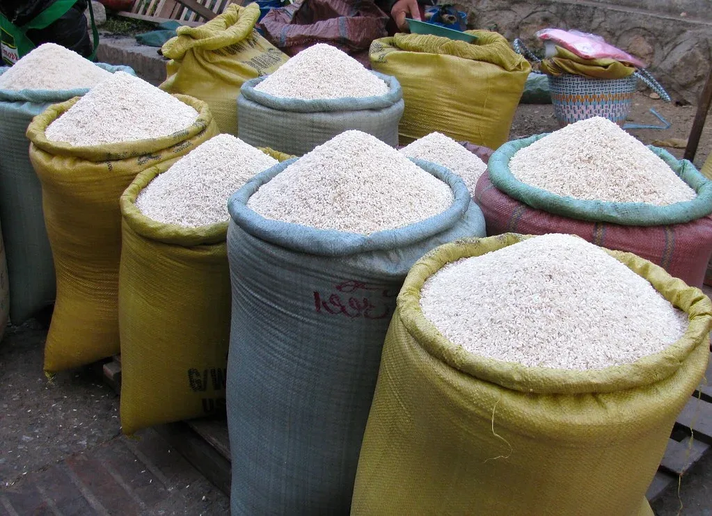 EE.UU. aplica arancel del 12.5% a productos dominicanos mientras exige apertura al arroz