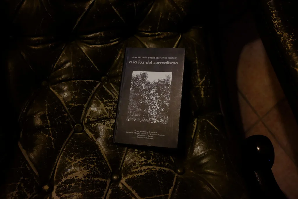 El surrealismo y la realidad mixta: convergencia en la creación literaria