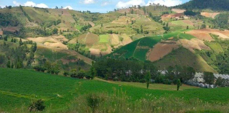Parque Nacional Valle Nuevo: Fuente vital de agua y biodiversidad para República Dominicana
