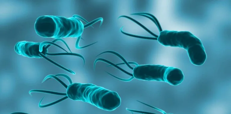 El 12% de los cánceres en 2024 estuvo vinculado a infecciones como H. pylori y VPH