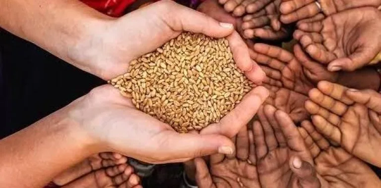 República Dominicana alcanza el hambre cero: último país latinoamericano en lograrlo