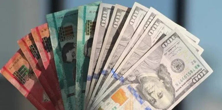 Apreciación del peso dominicano afecta competitividad de exportadores y receptores de remesas