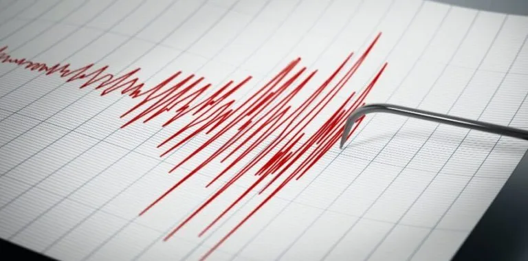 Terremoto de magnitud 7,7 sacude la costa de Indonesia sin reportar daños ni víctimas