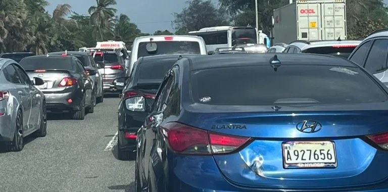 Caída de árbol provoca congestión en autopista Las Américas hacia el Este