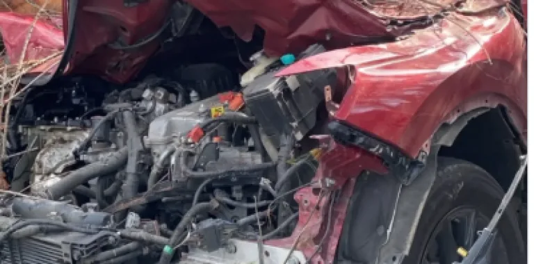 Cuatro heridos y tráfico obstruido por caída de árbol en autopista Las Américas