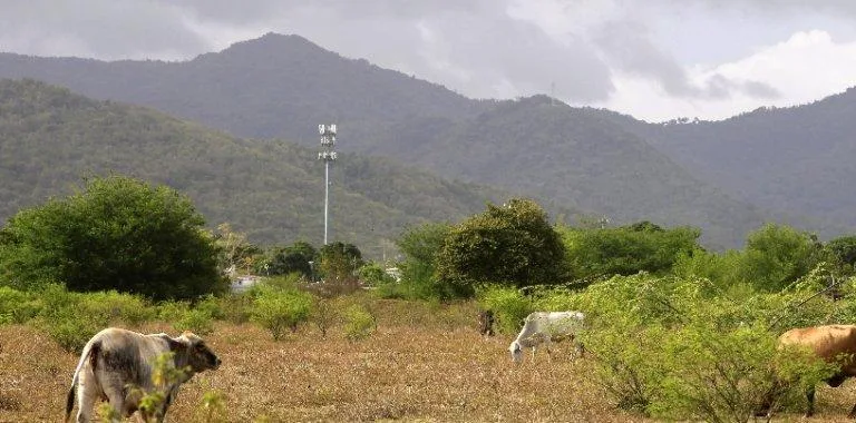 Sequía extrema afecta el 33% de Puerto Rico y obliga a racionar agua en siete municipios