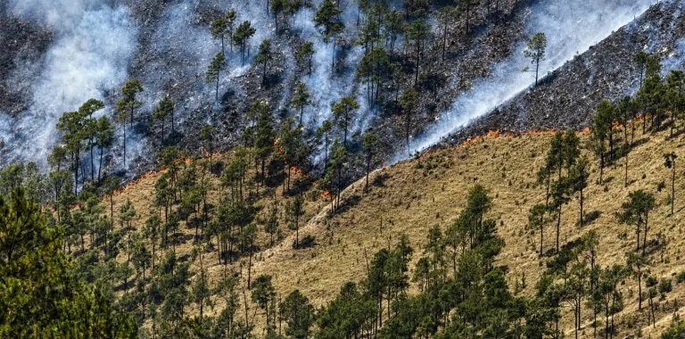 Incendio forestal controlado en Parque Nacional Valle Nuevo tras 36 horas de trabajo