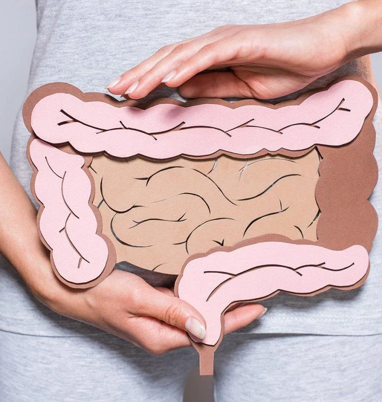La microbiota intestinal: clave para la salud digestiva y emocional