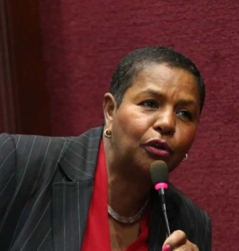 Cónsul dominicana en Hamburgo renuncia por falta de recursos e institucionalidad