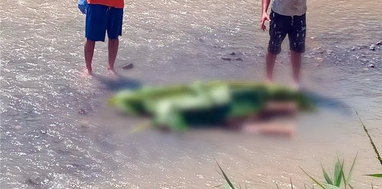 Hallan cuerpo de Yosnely Álvarez tras intensa búsqueda en río Yaque del Norte