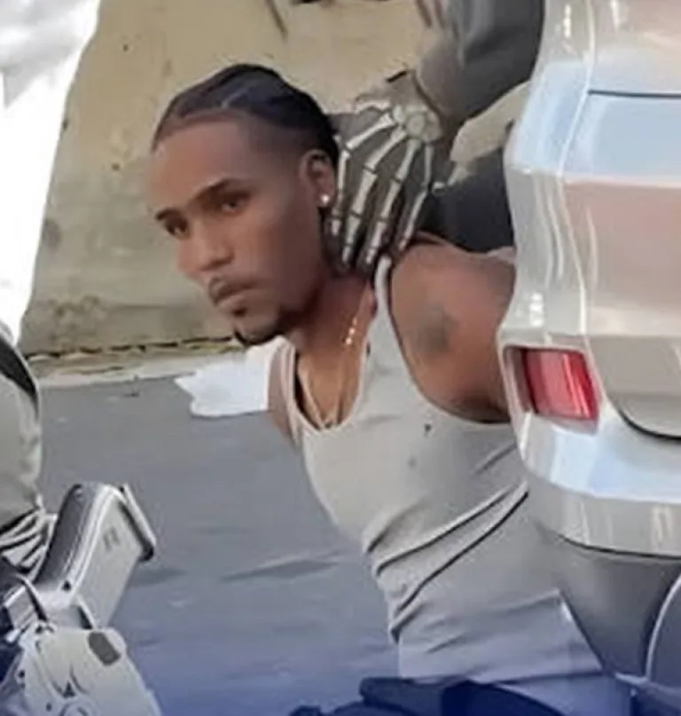 Dominicano herido por ICE en Nueva York genera debate sobre migración y elecciones