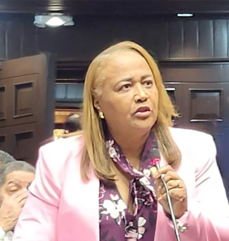 Cámara de Diputados declara Cuevas del Pomier Capital Rupestre de la RD
