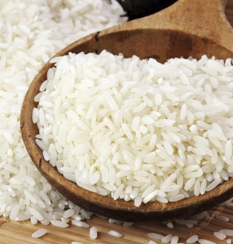 Gobierno dominicano declara al arroz como tema de seguridad nacional ante desgravación arancelaria con EE.UU.