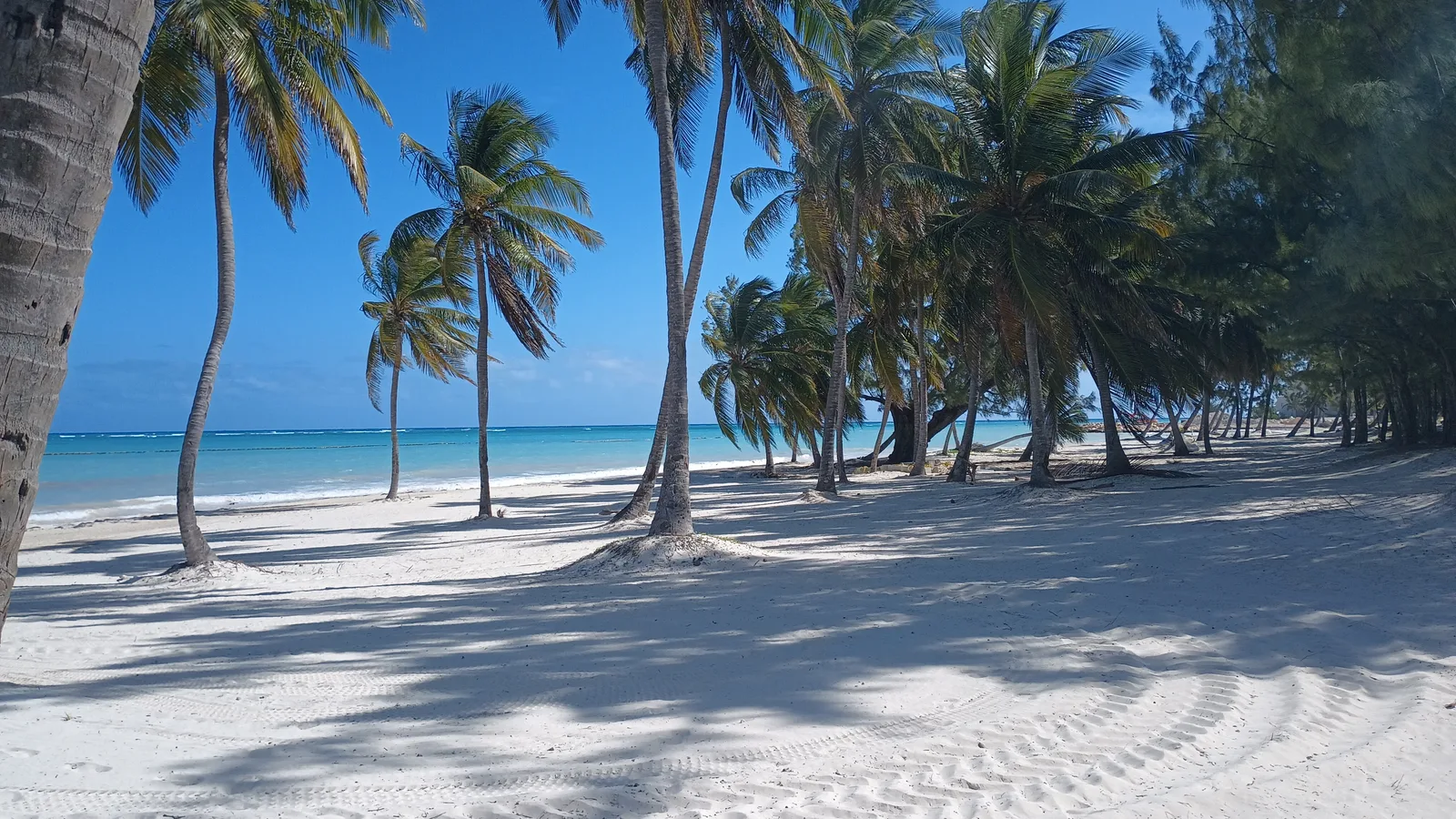 Cap Cana: un destino integral que combina lujo, deporte y sostenibilidad