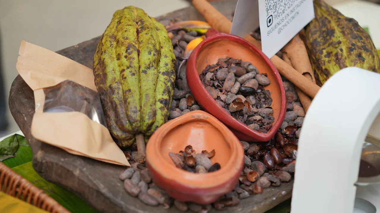 Festival del Chocolate Dominicano 2025 reunirá a más de 18 marcas en Santo Domingo