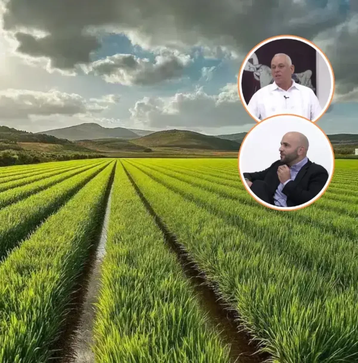 Productores de arroz dominicanos denuncian incertidumbre por liberalización de importaciones