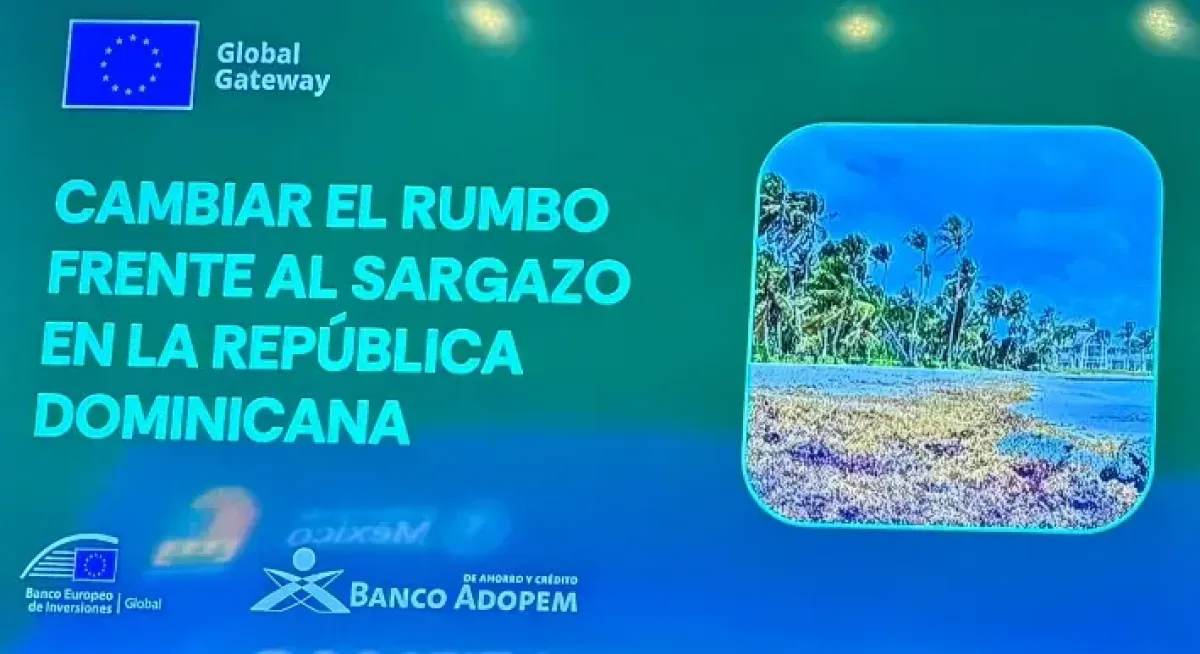 República Dominicana recibe US$6.3 millones para transformar el sargazo en oportunidades económicas