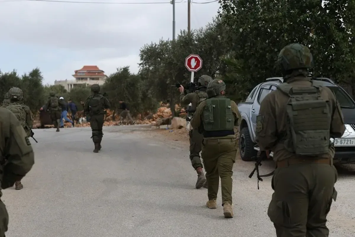 Colonos israelíes agreden a diplomáticos de Francia y Bélgica durante cosecha de aceitunas en Cisjordania