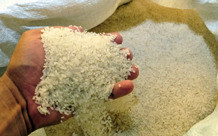 República Dominicana mantiene arancel del 99% al arroz para proteger su producción nacional