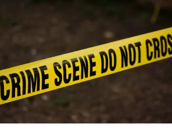 Hombre muere tras discusión por corte de árboles en Santiago