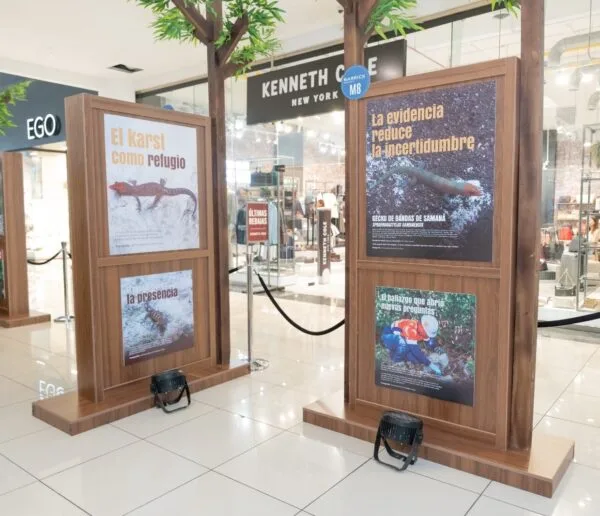 Barrick Pueblo Viejo presenta exposición sobre biodiversidad y restauración ambiental en la Cordillera Central