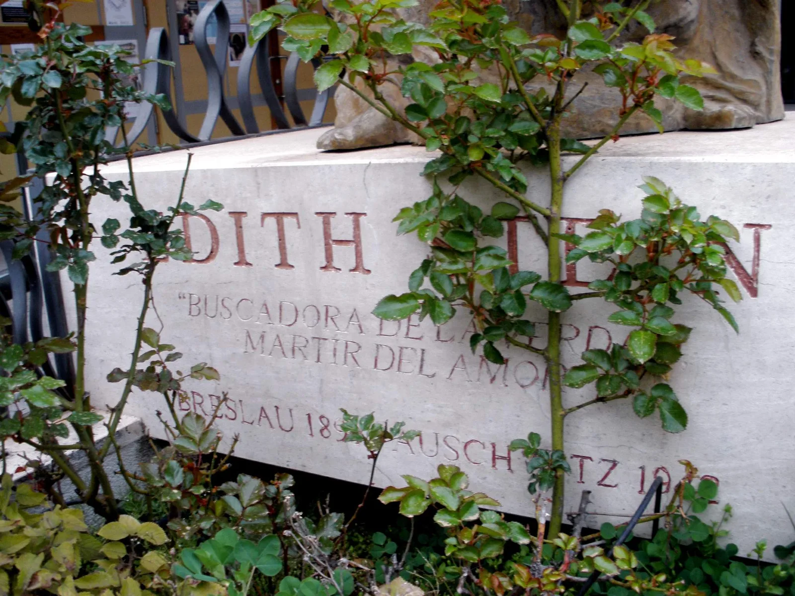 Santoral del 9 de agosto: Edith Stein, Romano y otros santos conmemorados por la Iglesia