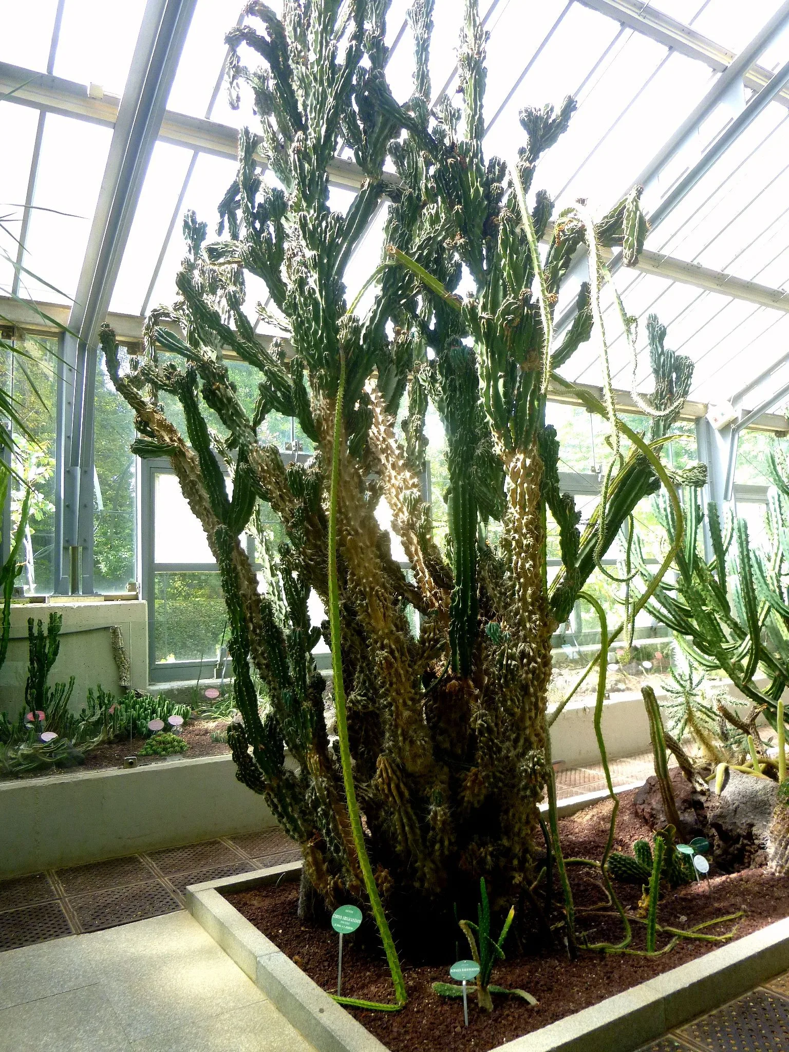 Jardín Botánico de Santiago renueva autoridades y aprueba hoja de ruta 2027