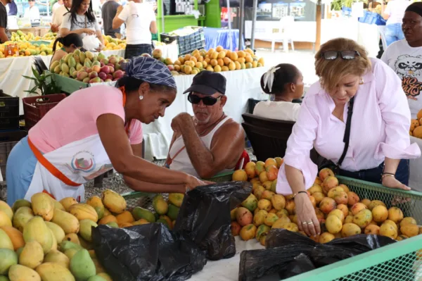 Gobierno dominicano trabaja para reactivar exportaciones de mango a EE.UU. en cuatro meses