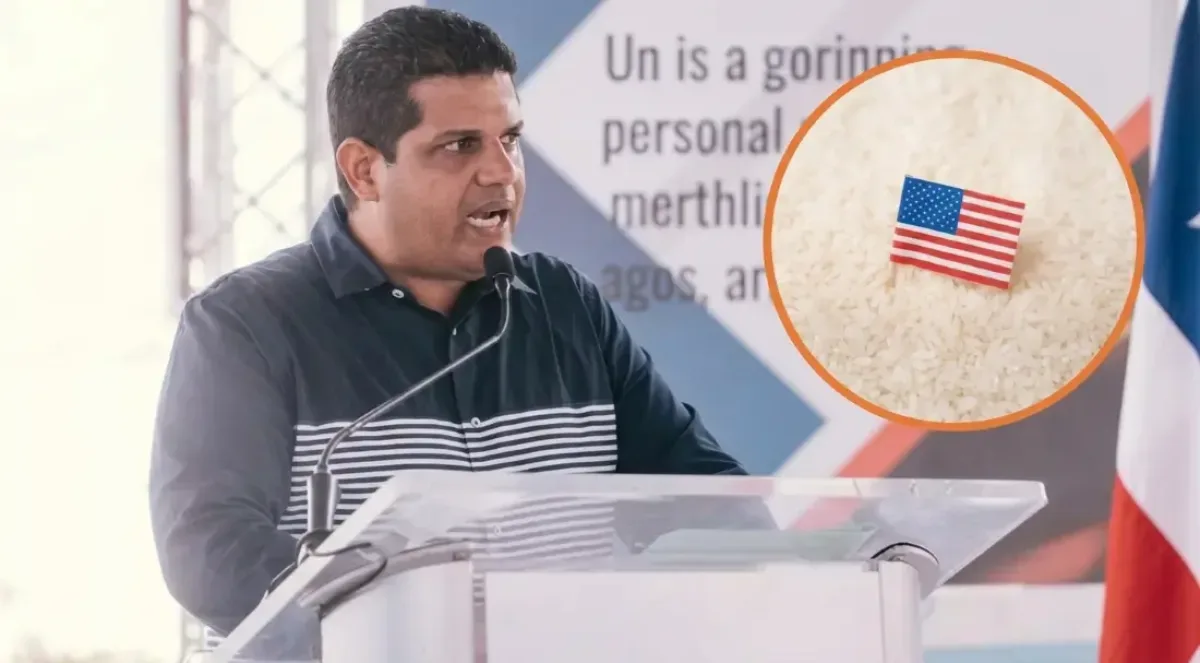 Sector arrocero advierte riesgo de crisis tras eliminación de arancel al arroz importado