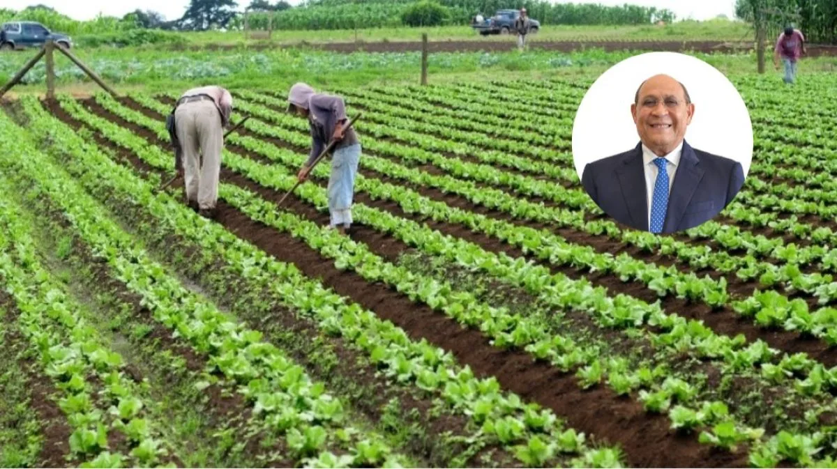 Ministro Mescyt impulsa agricultura dominicana con tecnología, especialistas y mejores salarios