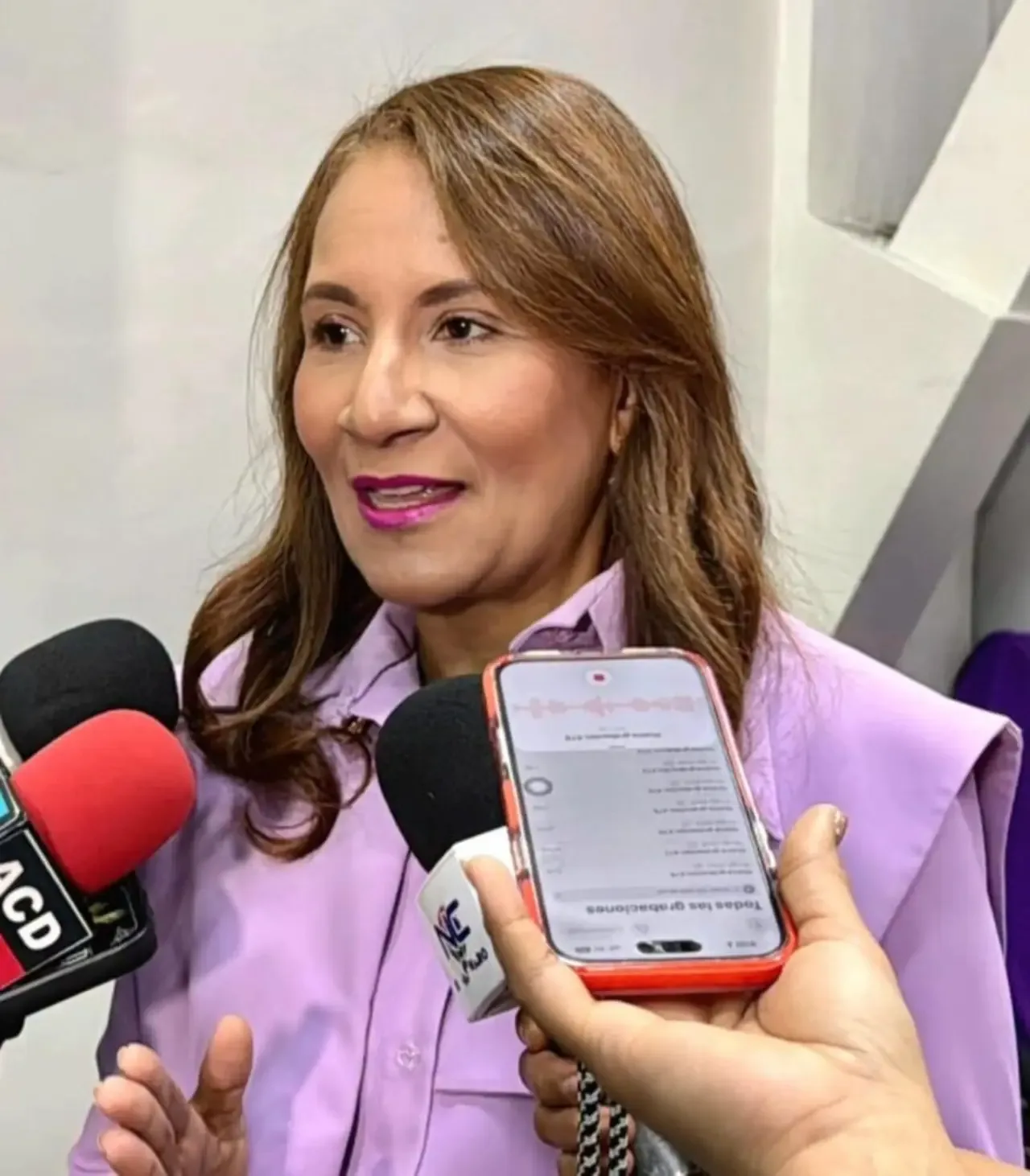 PLD cuestiona metodología del Gobierno en cifras de viviendas en Ciudad Juan Bosch