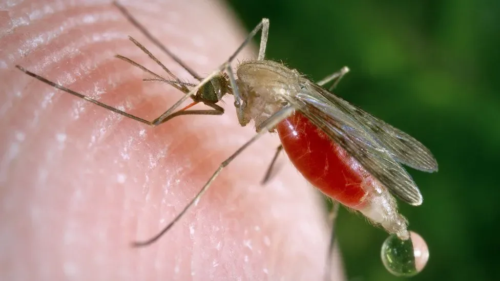 República Dominicana registra la menor incidencia de dengue en las Américas
