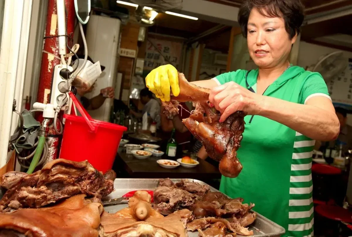 Corea del Sur se prepara para el fin del consumo de carne de perro con la entrada en vigor de la prohibición en 2027