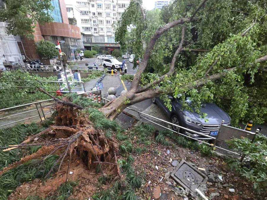 Tifón Dolphin provoca lluvias récord y más de 1,6 millones de evacuados en China