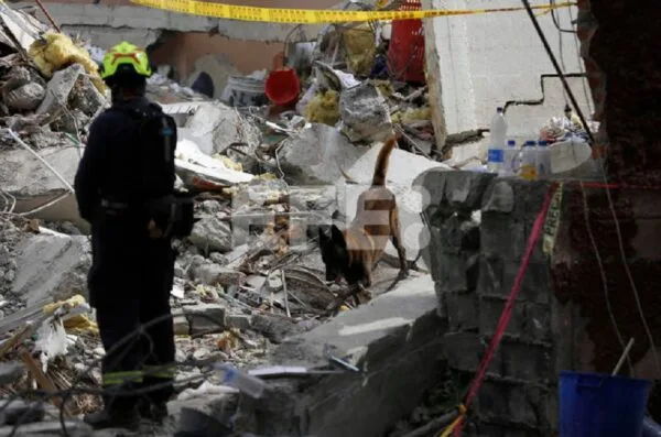 Terremoto en Colombia deja 265 muertos y declara emergencia económica