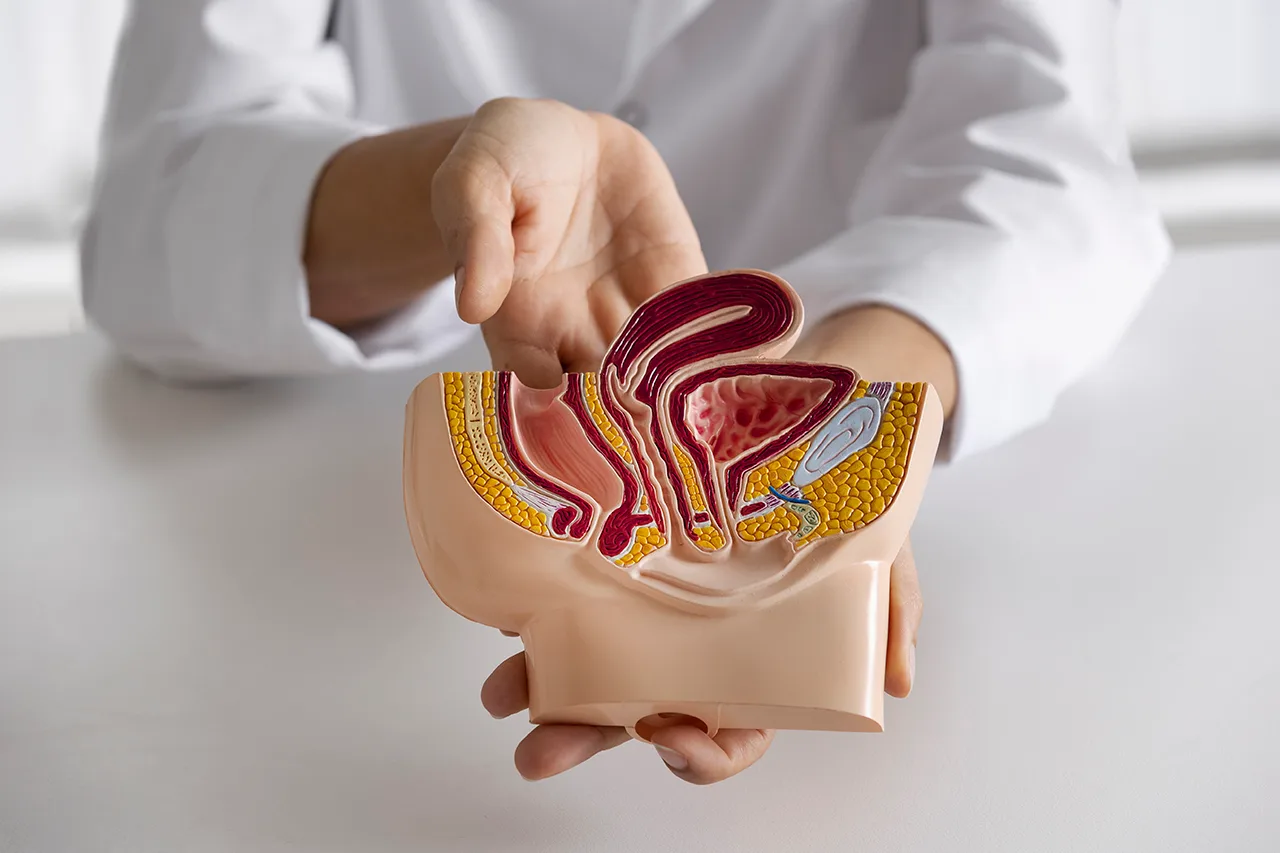 Tecnologías de alta precisión amplían opciones frente al cáncer urológico