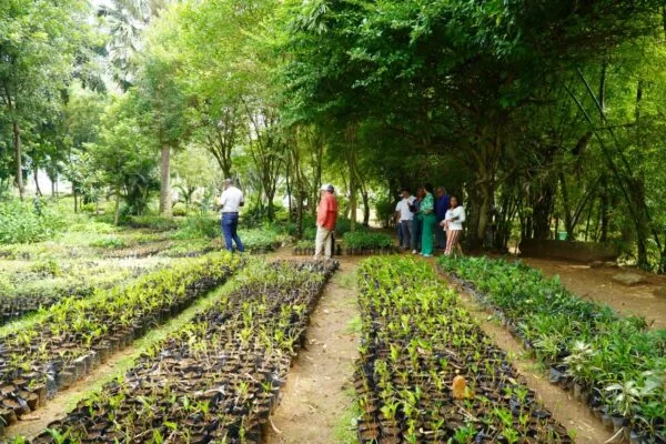 Digecac anuncia Primer Festival de Plantas 2026 con entrada gratuita y actividades educativas