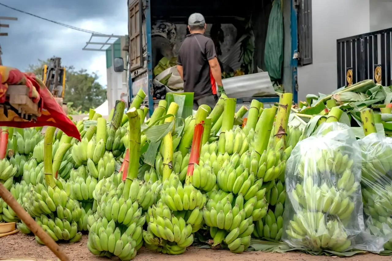Aumento de combustibles impacta cadena de suministro de alimentos en RD